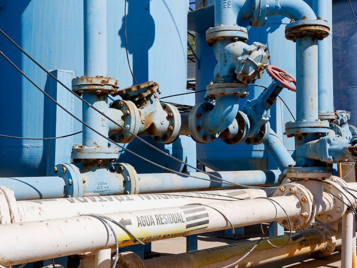 Foto: Juan J. Morales