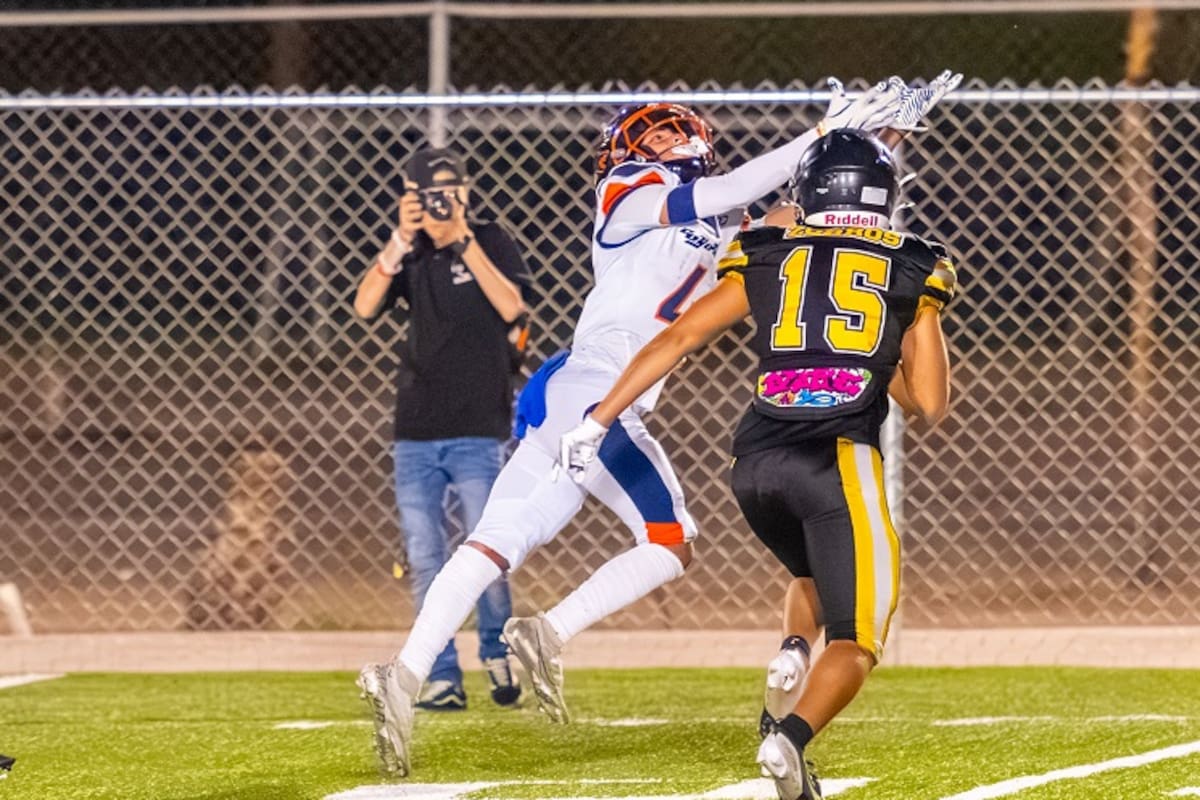 Se define todo en la OEFA