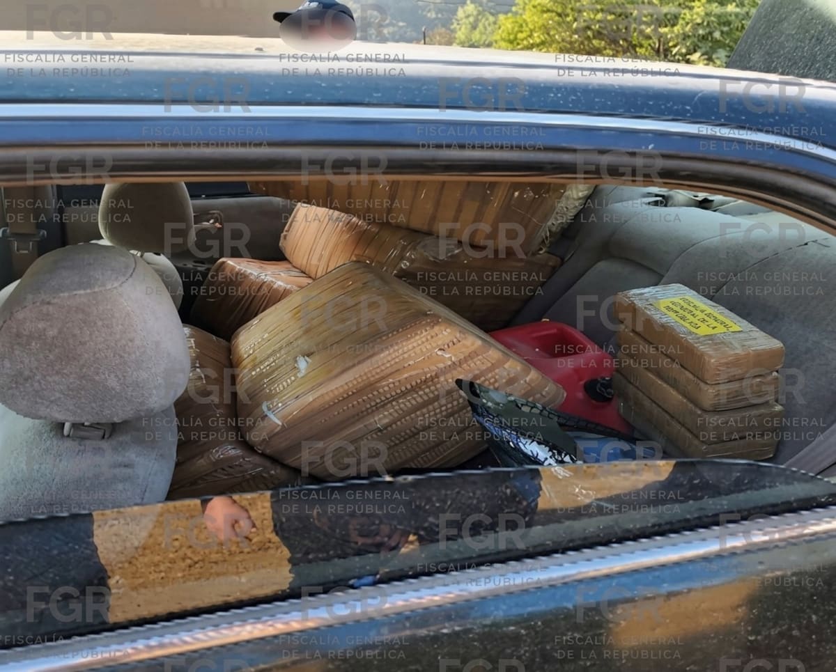En conjunto, los dos aseguramientos reportados por la FGR representan 429 kilos 346 gramos de marihuana. Foto: Cortesía