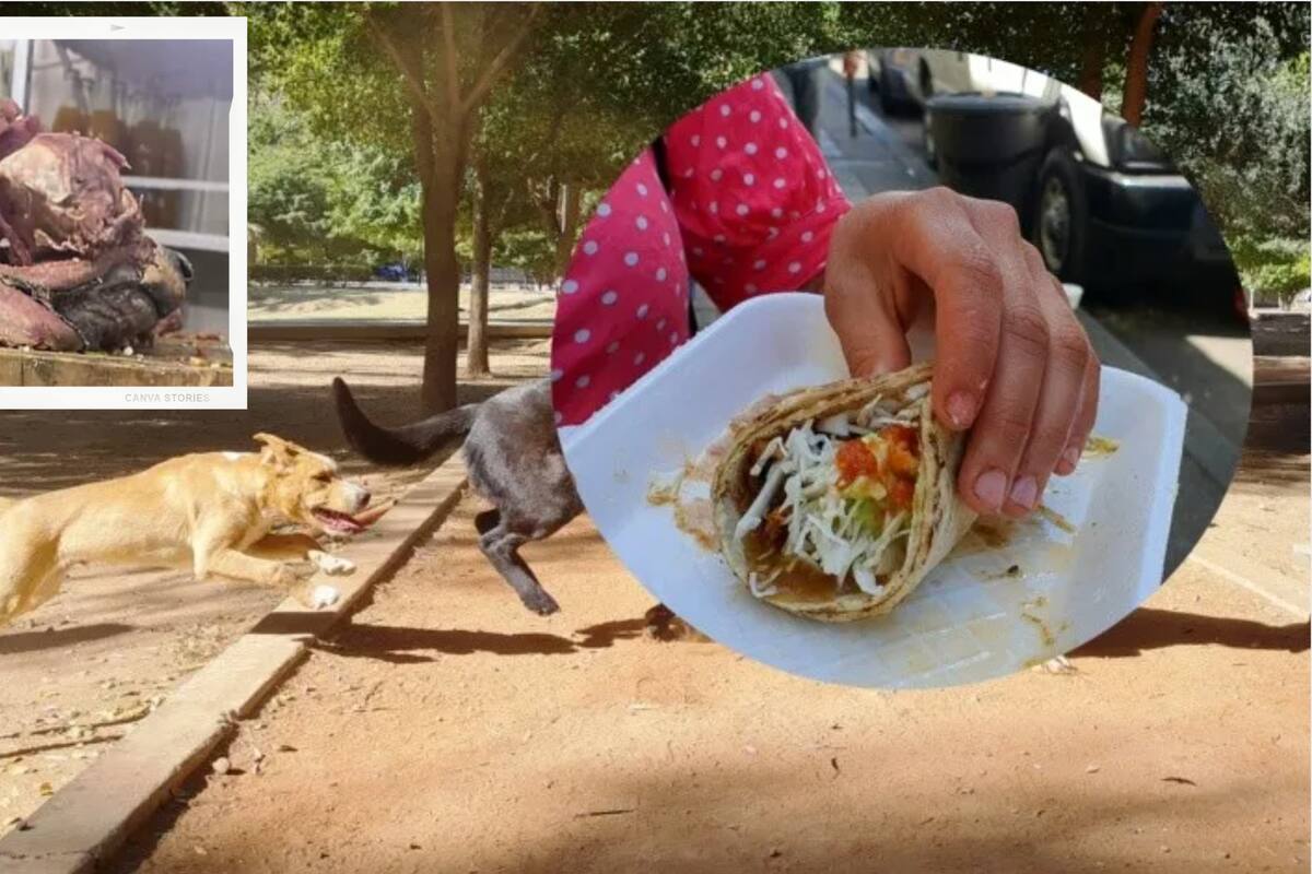 Captan supuesta cabeza de perro en taquería que vende 3 tacos por 5 pesos en la CDMX