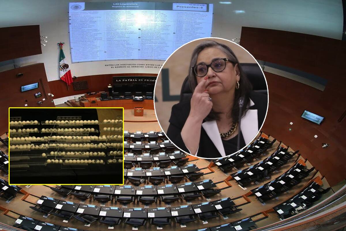 Elecciones, renuncia o retiro: Jueces, magistrados y ministros del Poder Judicial deberán decidir entre estas tres opciones tras sorteo de plazas en el Senado