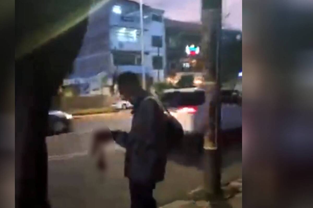 Vuelve a aparecer el "come gatos" de Azcapotzalco: solicitan que se atienda el caso a la Fiscalía de la CDMX (Imágenes sensibles)