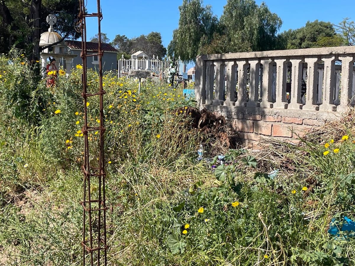 Las obras de construcción de la barda perimetral en el panteón municipal de Rosarito se encuentran detenidas y con retraso de meses en su entrega, por lo que este espacio sigue sin protección para impedir el paso libre por el camposanto. Foto: Carmen Gutierrez