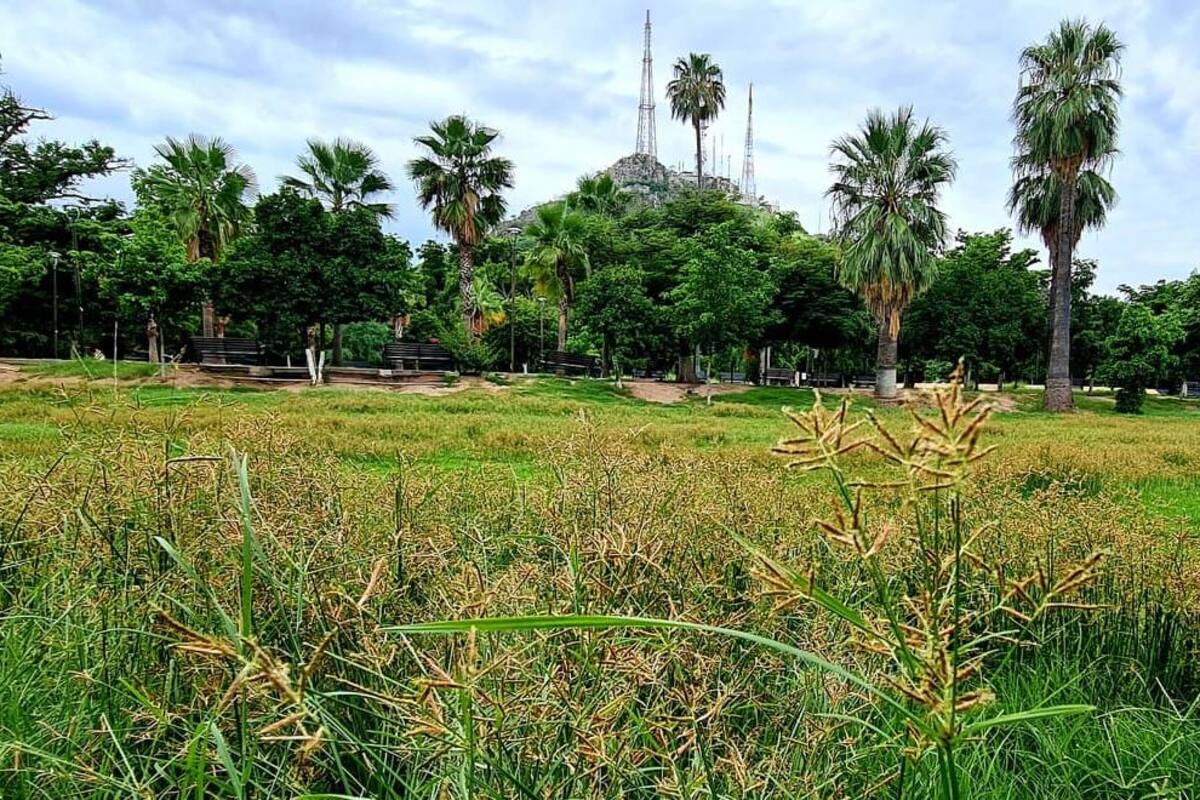 Hoy inicia el otoño y Hermosillo amanece a 24 grados; espera Conagua cambio paulatino de temperatura
