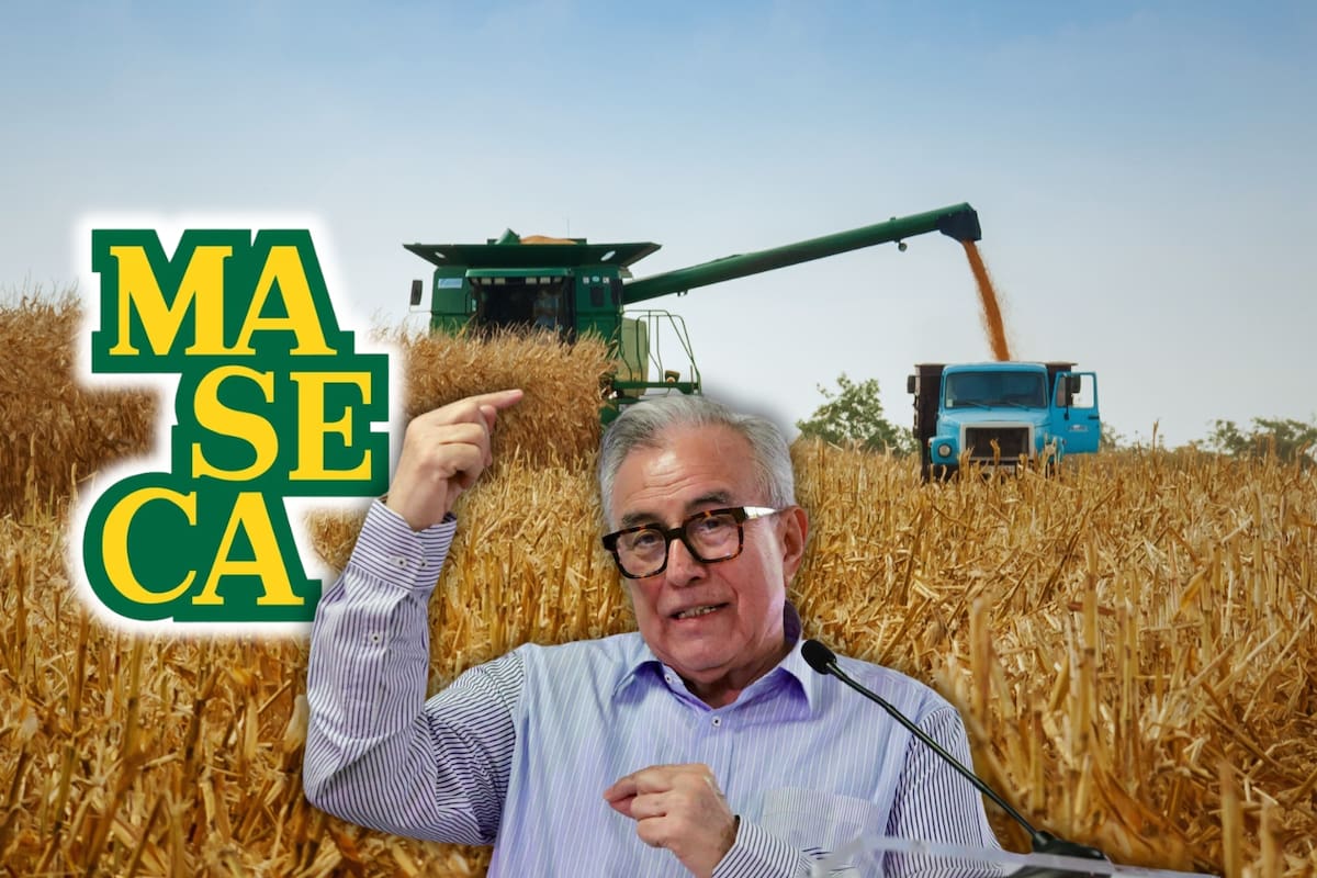 Rubén Rocha Moya negocia con Maseca para venderle una parte de la cosecha del maíz blanco en Sinaloa y lograr un precio mínimo de 6 mil pesos por tonelada en el mercado local y nacional