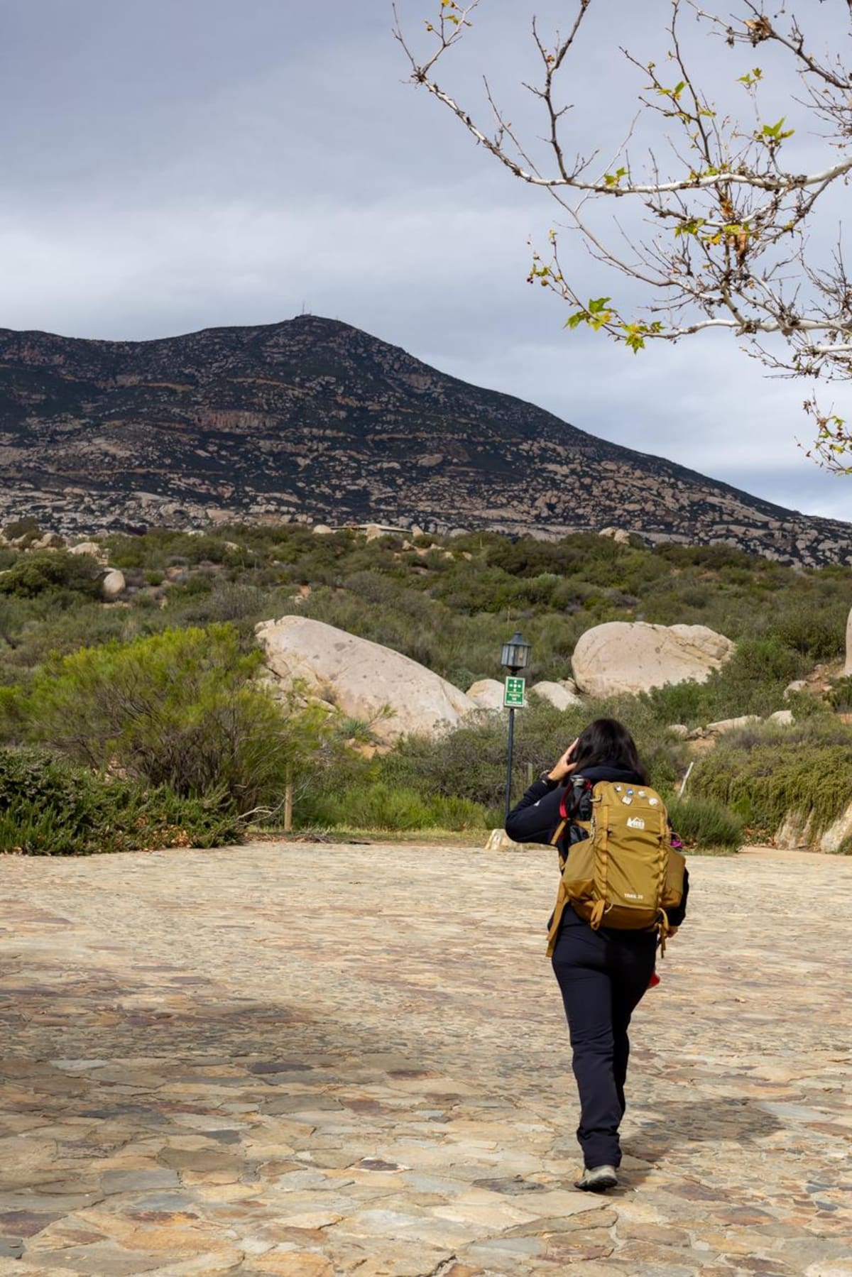 Evelyn Duarte Lara, con más de diez años vinculada a la montaña, inició su proyecto para escalar las cimas más altas de cada continente y representar a Baja California en el montañismo internacional. Foto: BorderZoom