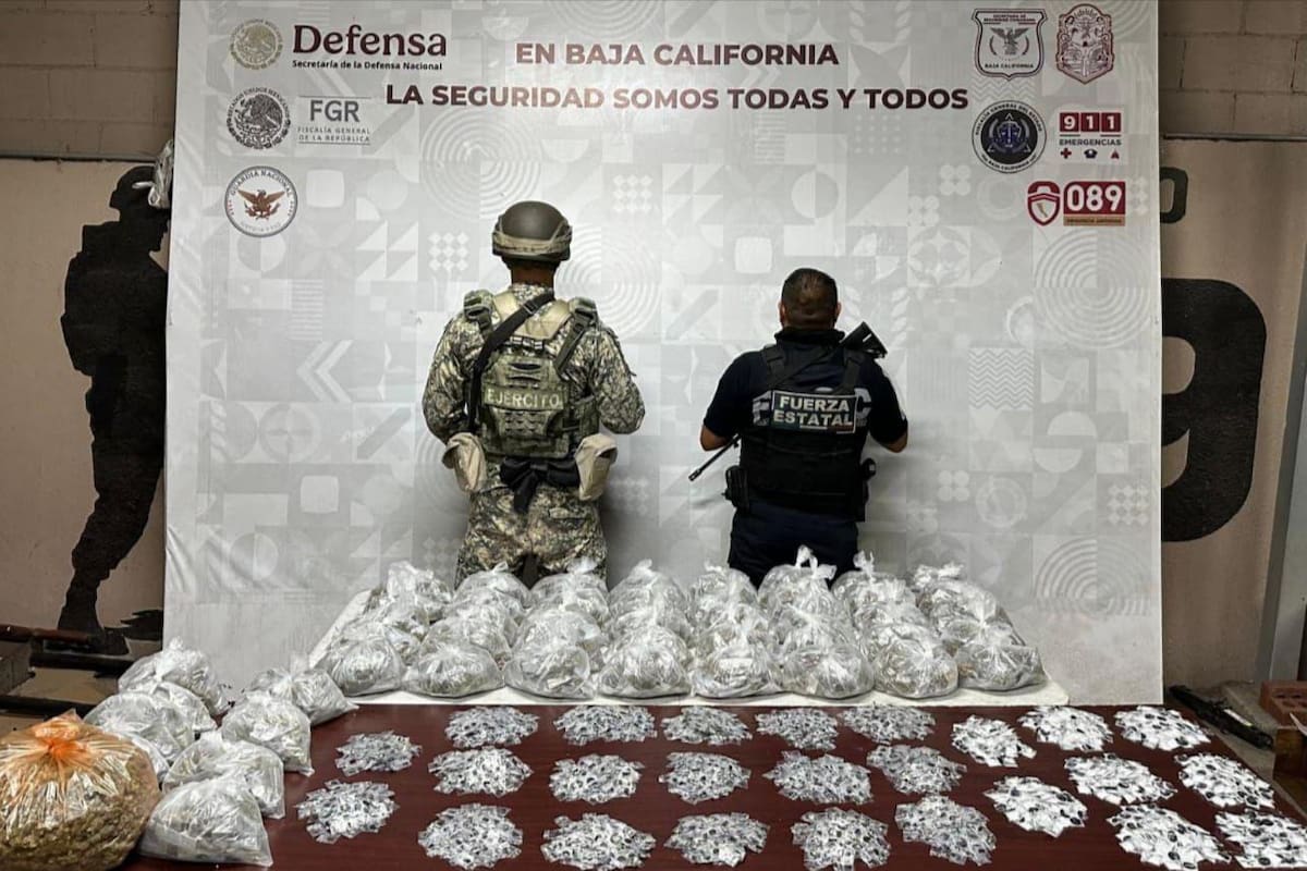 FESC y DEFENSA aseguran más de 8 kg de drogas