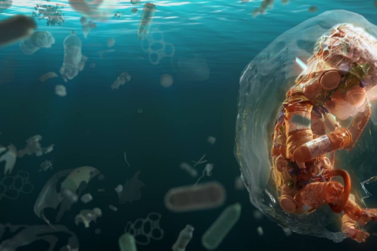 Hallazgo de microplásticos en placentas humanas despierta preocupación