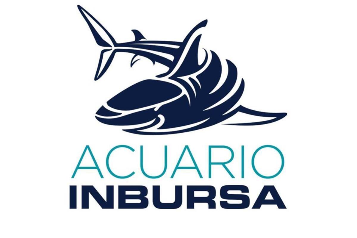 Acuario Inbursa organiza recorrido virtual cada jueves
