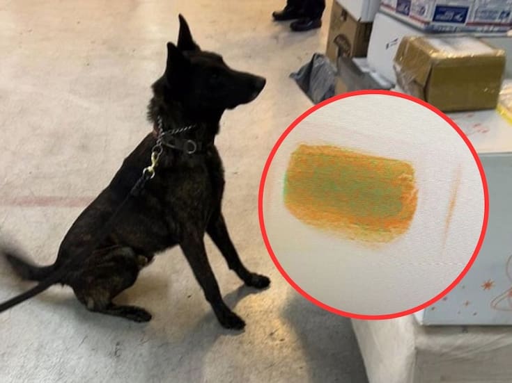 Aseguran paquete de fentanilo con un valor de 20 millones de dólares en el AICM; había sido declarado como cosméticos y provenía de una empresa asiática