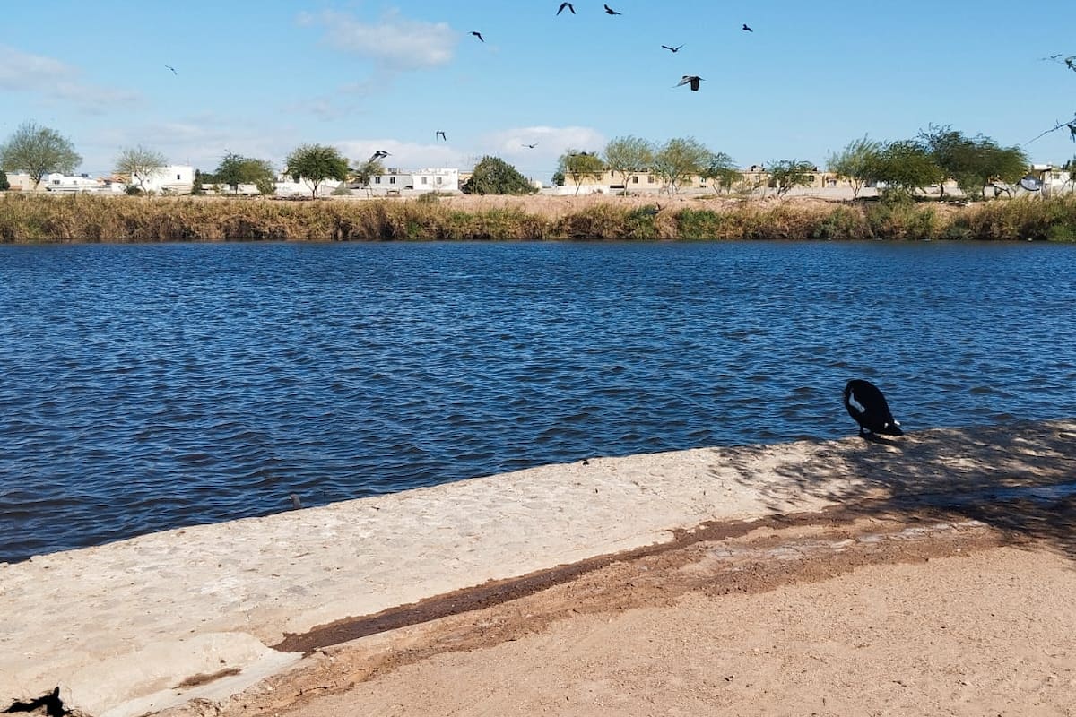 Clima Mexicali: Tras récord de calor, prevén descenso en temperaturas para el fin de semana