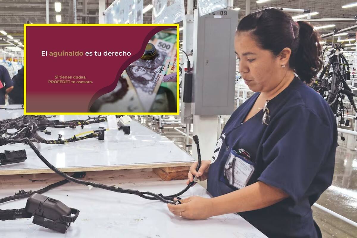 ¿No te pagaron el aguinaldo? Así puedes reclamarlo según la ley