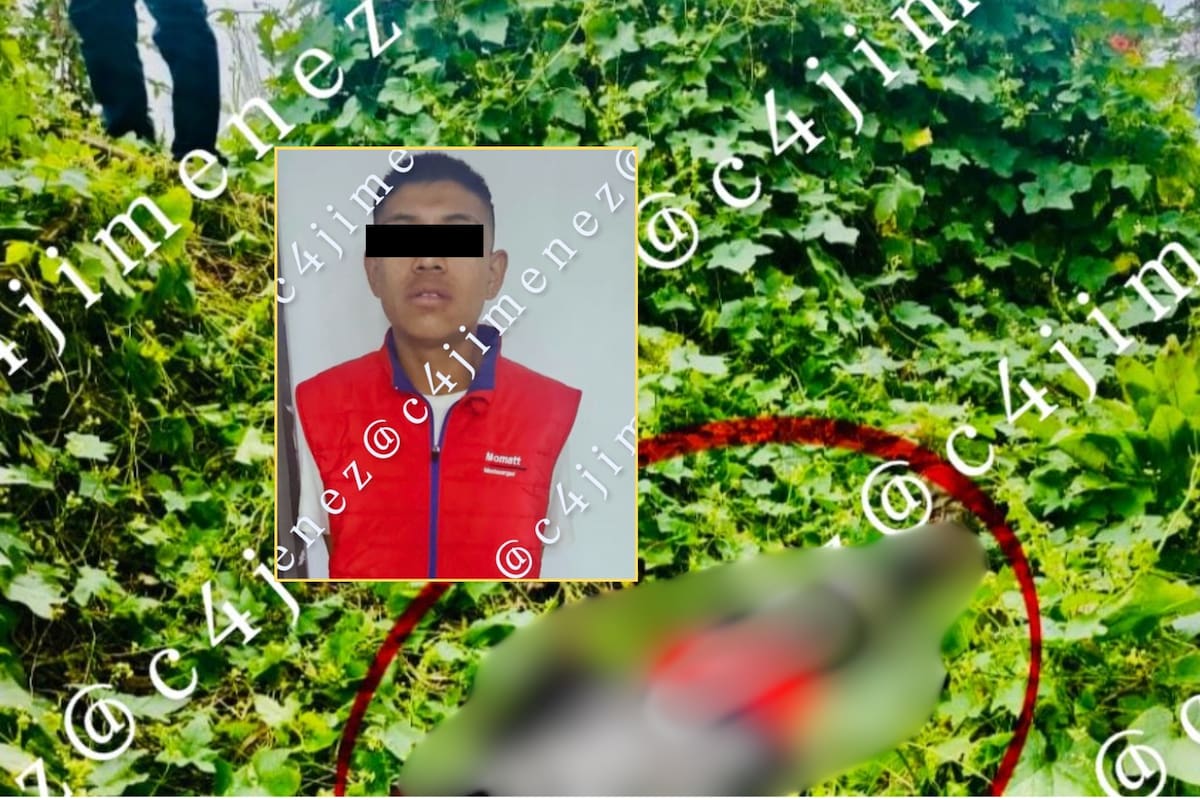 Se emborrachó con su amigo en una zona boscosa, lo mató y luego confesó que lo hizo porque lo violó