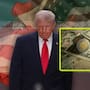 Peso mexicano ‘arrasa’ mientras el dólar se ‘derrumba’ por alto al fuego en Irán y así cotiza este miércoles 8 de abril del 2026