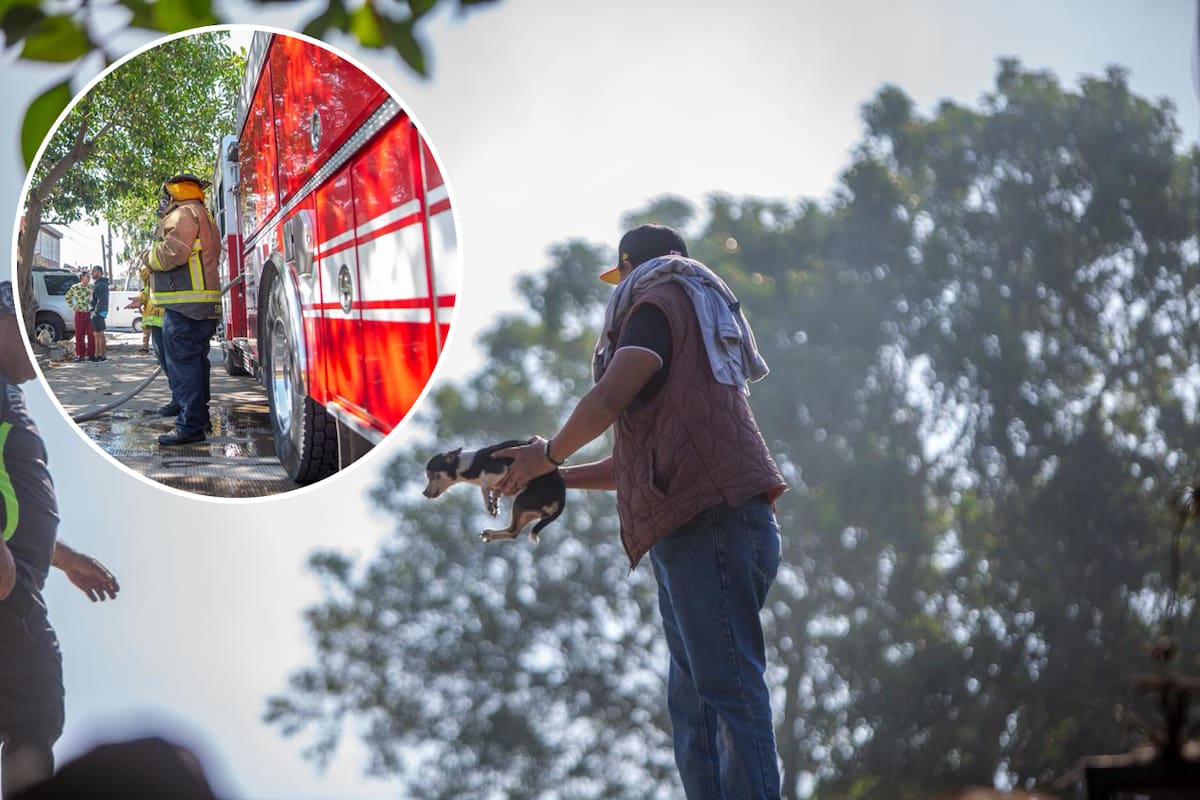Registran conato de incendio en departamentos de Nueva Tijuana; deja daños totales en una habitación