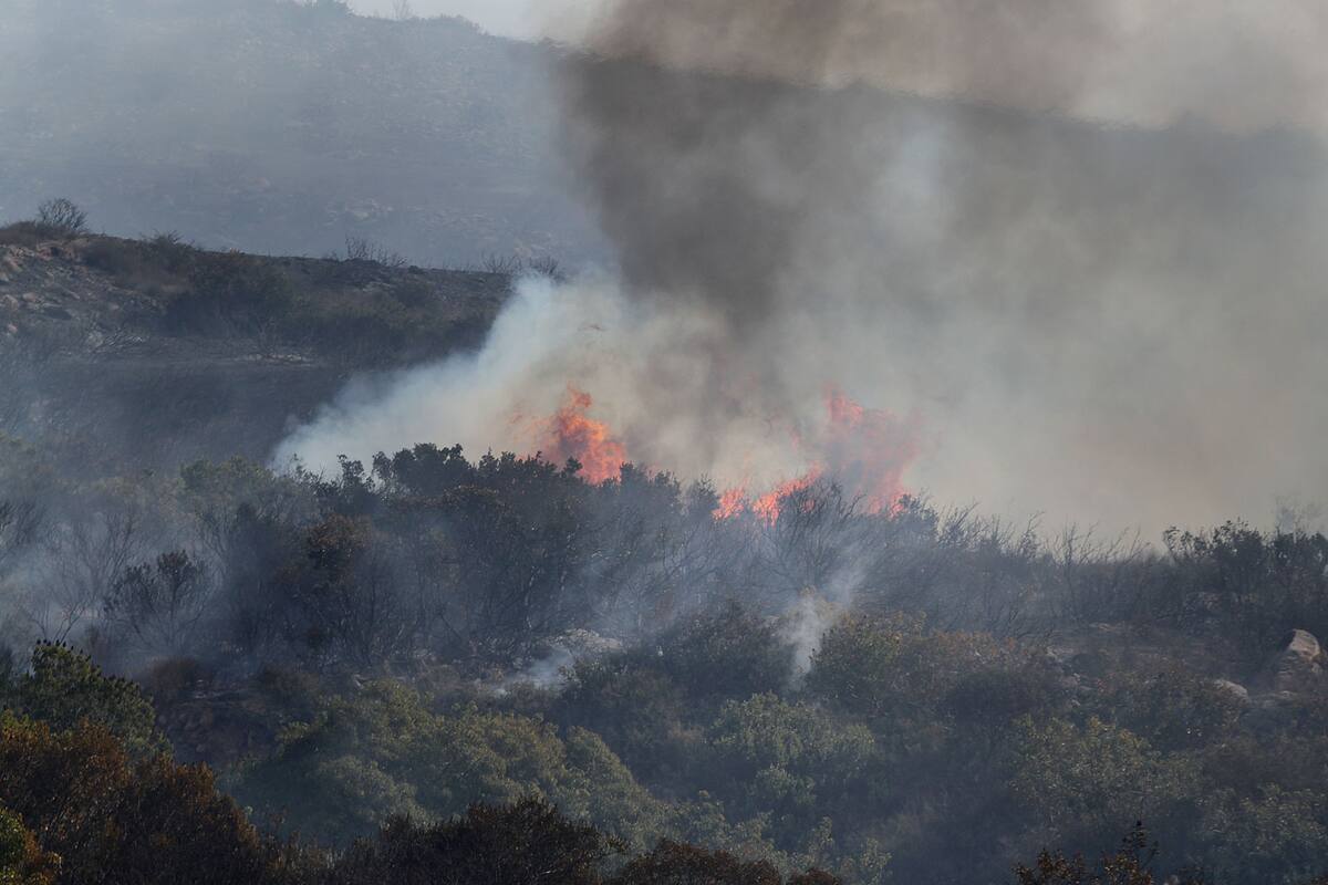 Previene Protección Civil BC por incendios forestales en la región