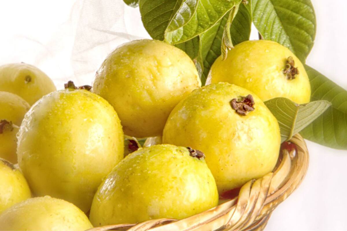 Comer guayaba puede ayudar a bajar de peso