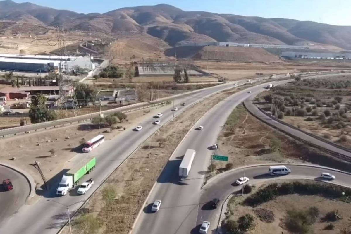 Retirarán 150 árboles para dar paso a carriles de cuota en el Corredor 2000