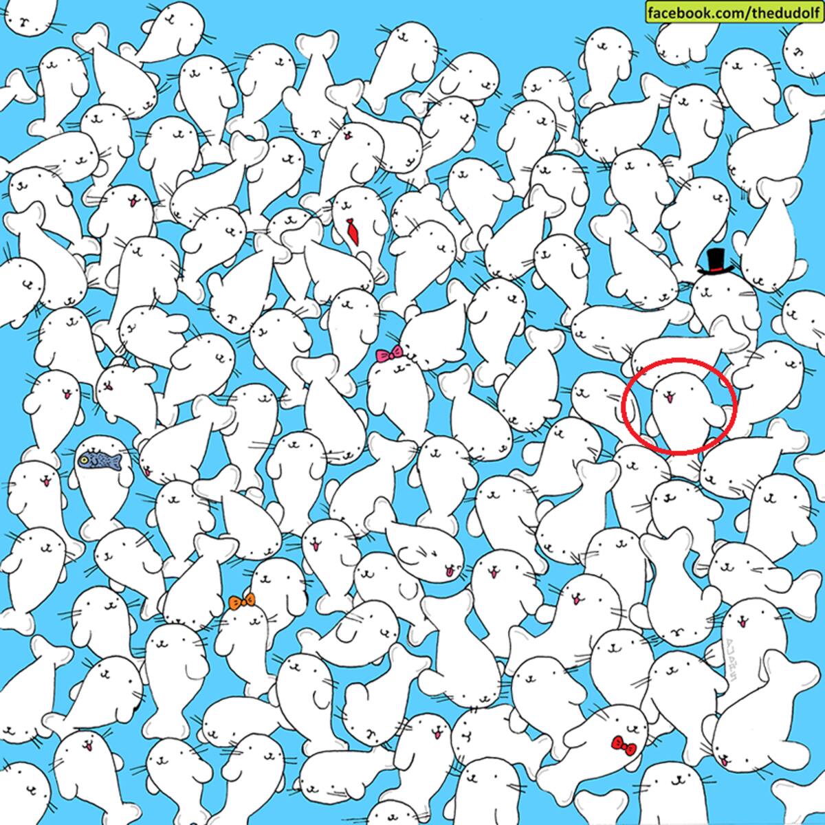 Acertijo visual: encuentra el malvavisco entre las focas. Solución.
