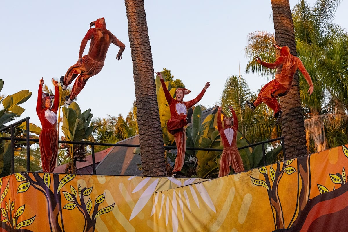 Esta experiencia será todos los días del 23 de mayo al 10 de agosto, a excepción del 21 de junio. Foto: Cortesía