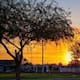 Mexicali tendrá domingo soleado con máxima de 33 grados