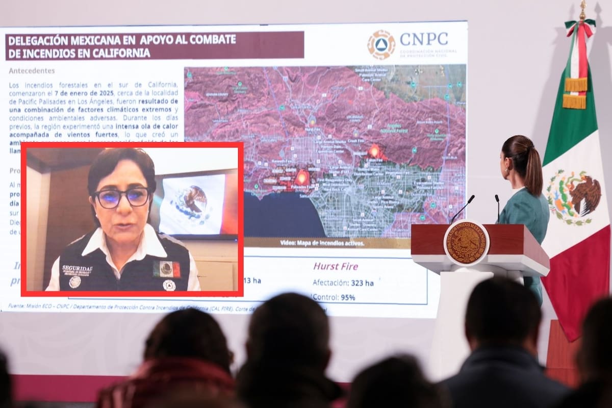 México ayuda a EU a combatir incendios de Los Ángeles: Informe de Protección Civil