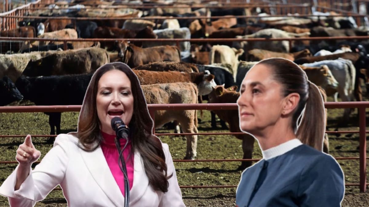 Brooke Rollins, secretaria de Agricultura de Estados Unidos, informó que se evalúa la cuarentenaria de Nogales para un posible protocolo de importación de ganado mexicano. FOTO: ESPECIAL