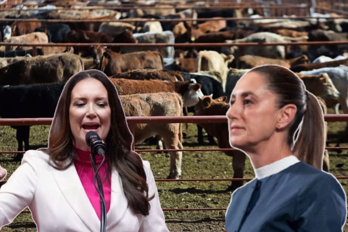 Sheinbaum y Rollins se reúnen hoy en CDMX; México pedirá que se reabra la frontera de EEUU al ganado mexicano