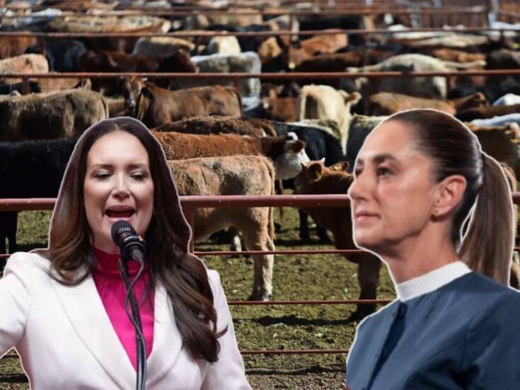 Sheinbaum y Rollins se reúnen hoy en CDMX; México pedirá que se reabra la frontera de EEUU al ganado mexicano