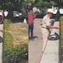Adulto mayor alimenta a un lagarto con tortilla y causa sensación en redes