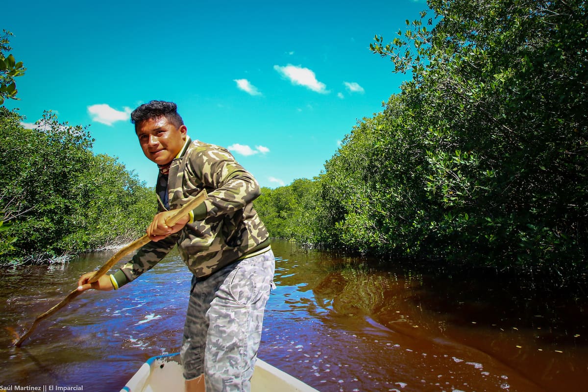 De pescadores a guardianes de los manglares
