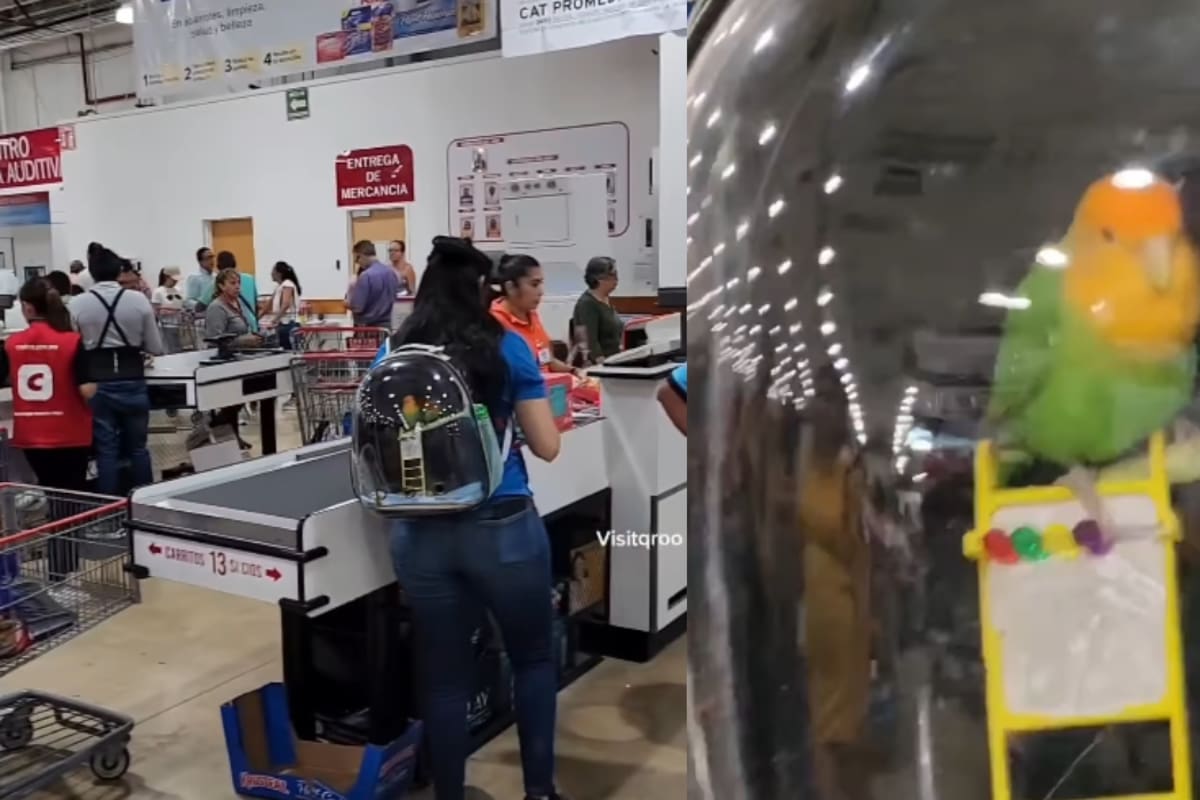 Mujer causa sensación en Costco al llevar a sus periquitos en una mochila especial