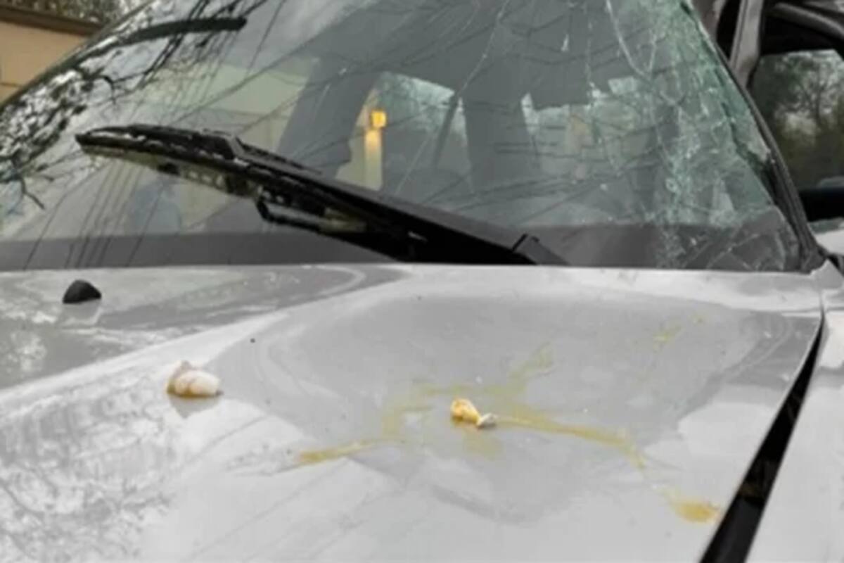 Personas arrojan huevos a vehículo de una agente del MP de Tamaulipas, choca y muere