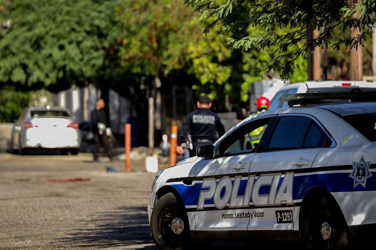 Muere mujer tras aparente ataque de jauría de perros en la colonia Nacozari