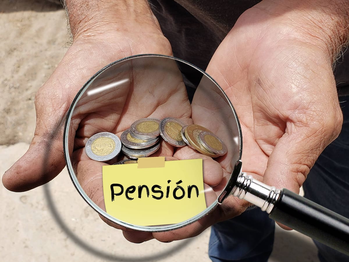 Esperar hasta el momento de pensionarse puede complicar la solución del problema y puede generar retrasos en el trámite. | Foto: El Imparcial/ Pngwing