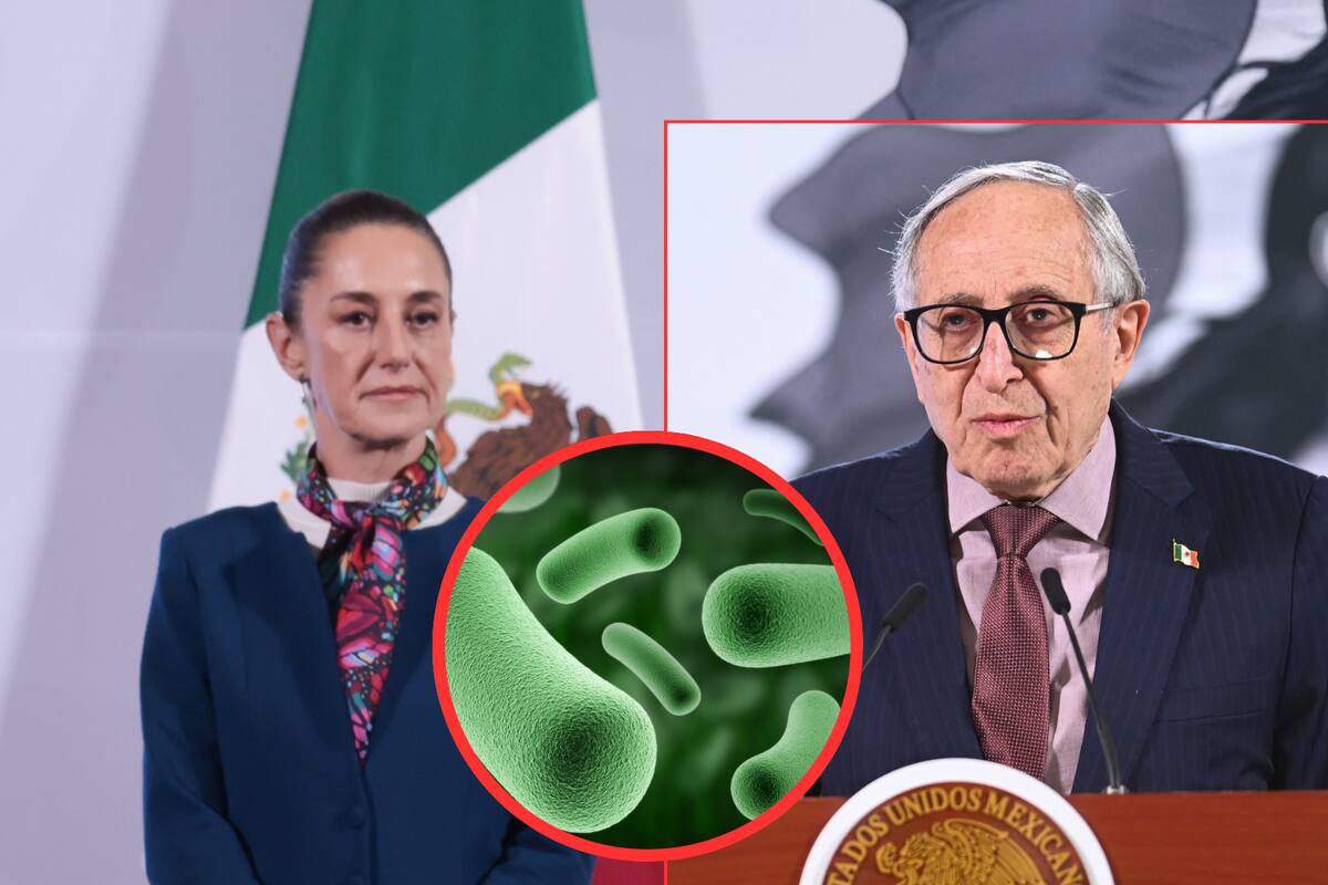 “Tiene que haber sanciones porque se perdieron vidas de niños”, dice Sheinbaum sobre brote