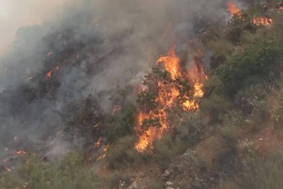 Hay probabilidad de incendios forestales en los próximos días en Ensenada