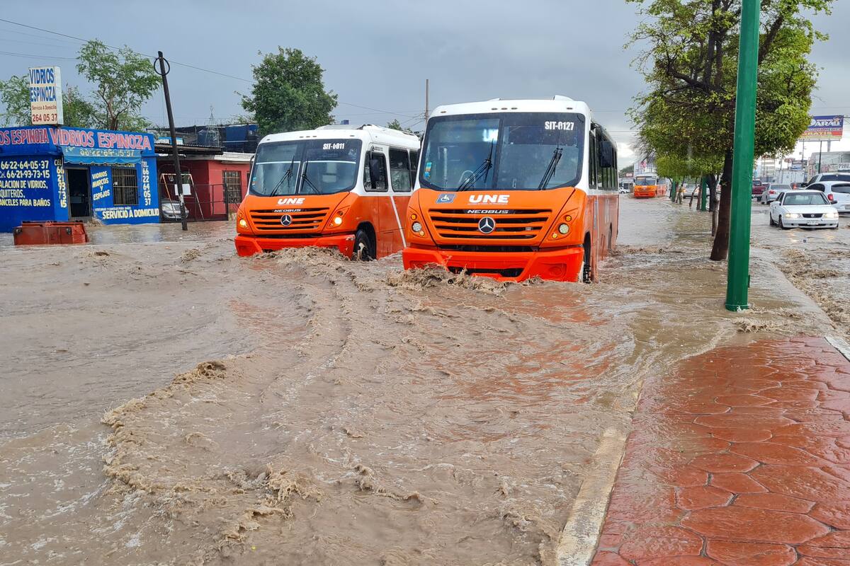 Clima en Sonora: Prevén siga frío en el Estado, pero ya sin lluvias