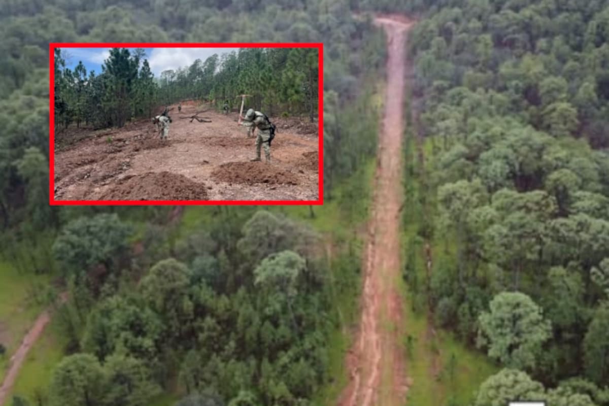 Localizan pista clandestina en Choix: militares la destruyen para frenar vuelos del crimen organizado