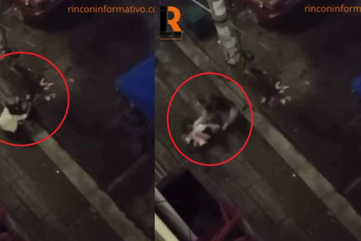 Mujer llora en la calle, abraza a un perro para consuelo, pero este la muerde y se va