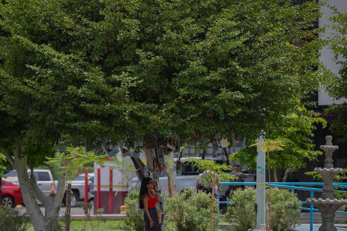 Clima nublado con temperaturas sobre los 40 grados durante el fin de semana