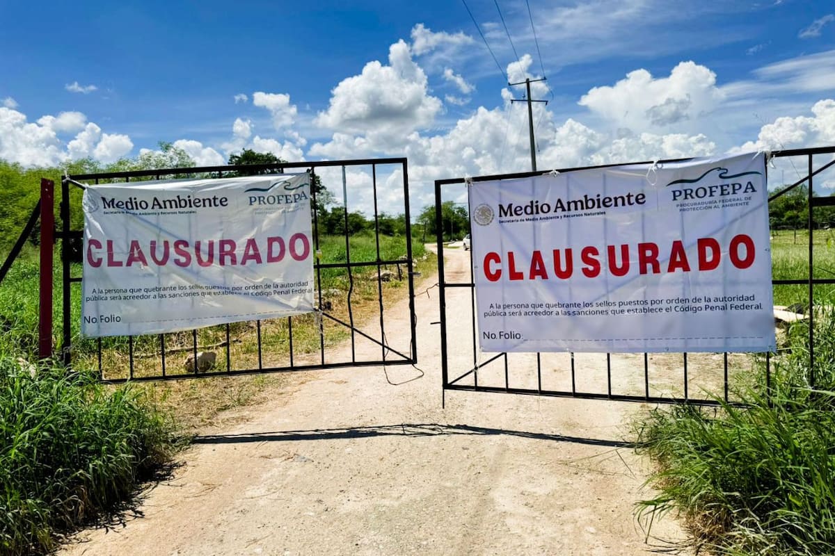 Profepa clausura de manera definitiva granja porcícola en Yucatán tras el incumplimiento de medidas correctivas