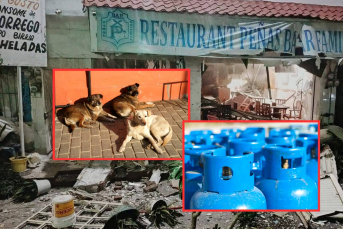 Explosión por fuga de gas en restaurante de Veracruz deja 4 lesionados; perros que buscaron refugio entre tanques presuntamente provocaron chispa