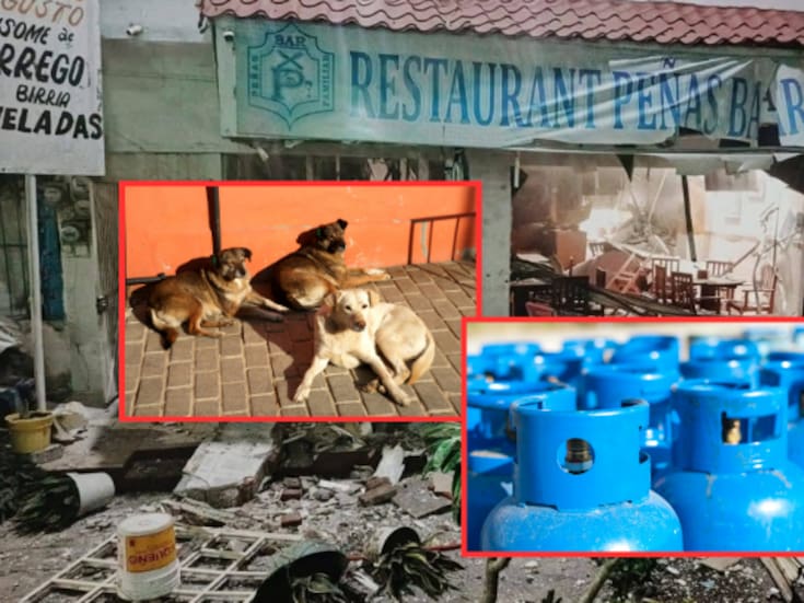 Explosión por fuga de gas en restaurante de Veracruz deja 4 lesionados; perros que buscaron refugio entre tanques presuntamente provocaron chispa