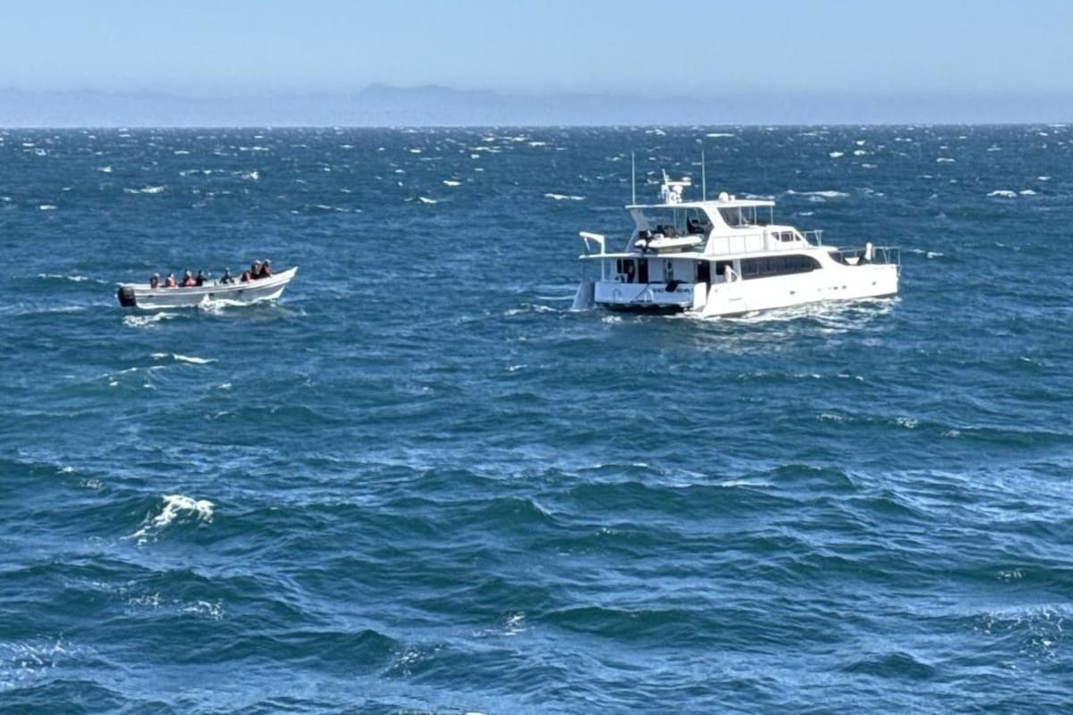 Rescatan a cuatro extranjeros de yate a la deriva al sur de San Quintín