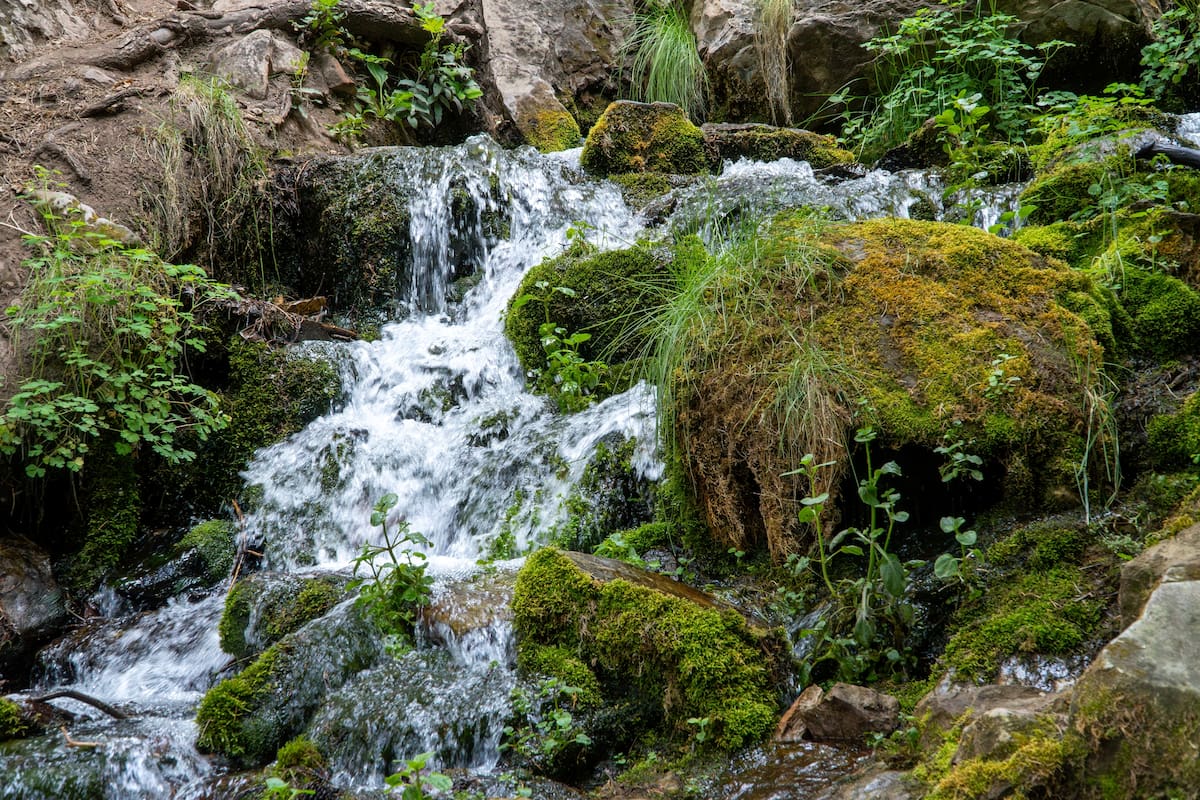 Descubre las fosas naturales más impresionantes de Arizona para nadar y relajarte
