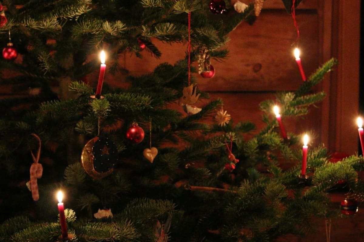 Tendencias en redes para decorar el árbol de Navidad 2025