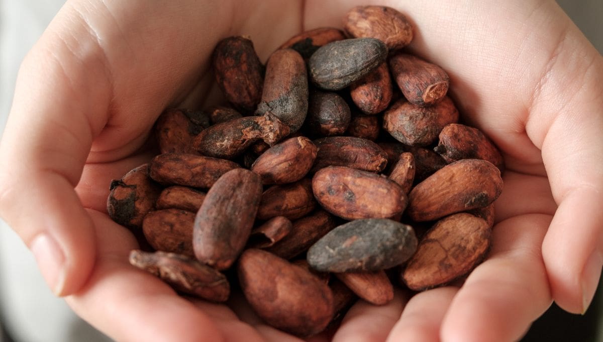 Productores del Congo podrán exportar a China sin pagar impuestos.