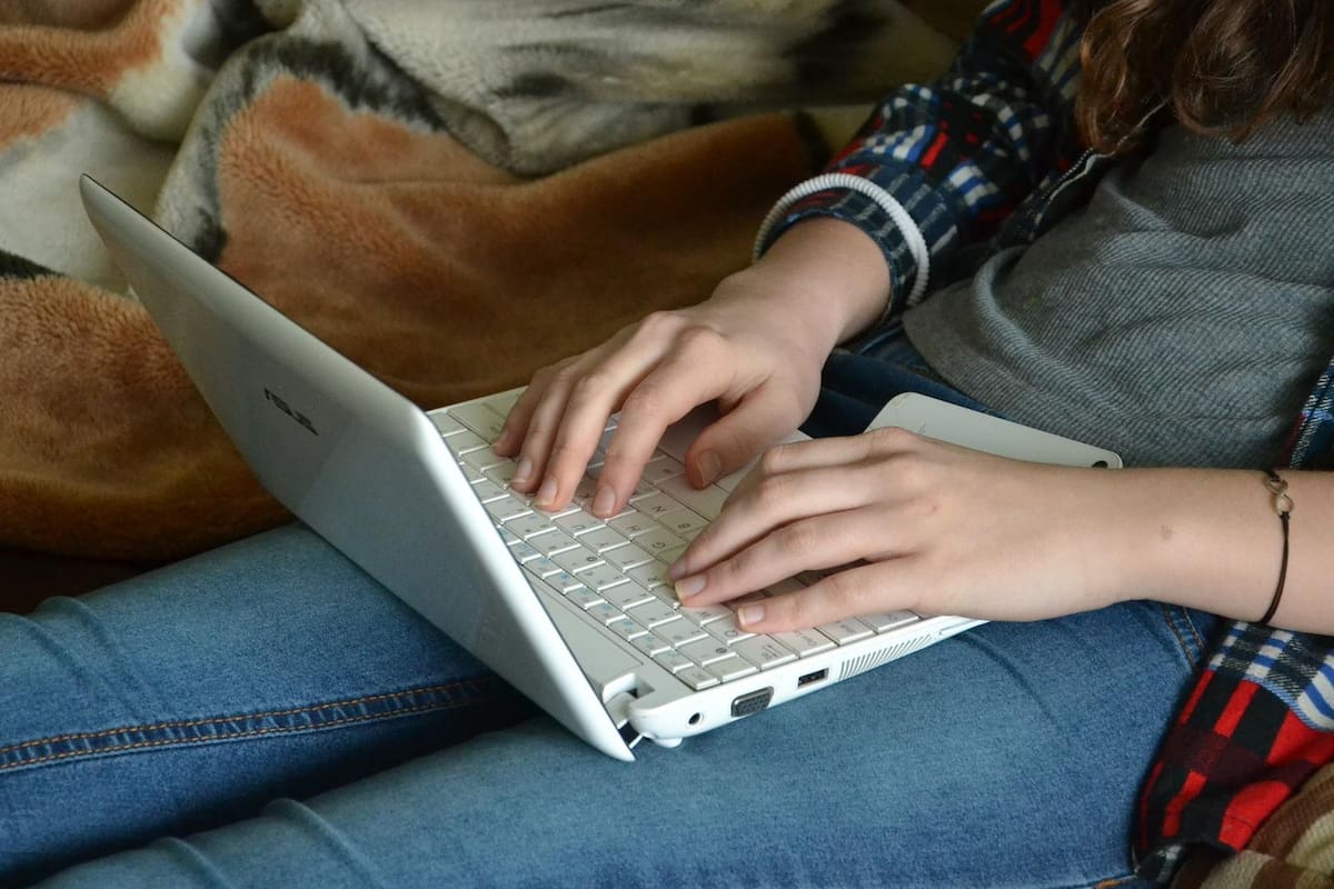 Arregla tu computadora a mitad de precio y ayuda a animales callejeros