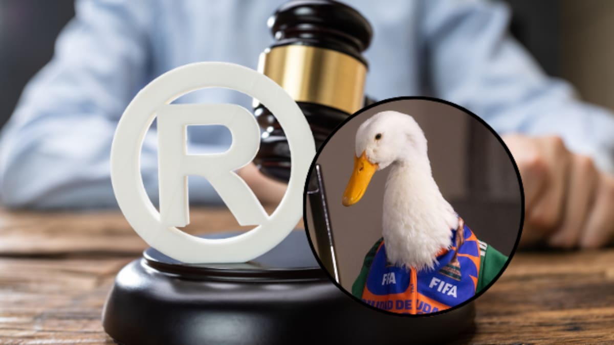 ¿Cómo registrar una marca ante el IMPI? El caso del Pato Merlín explica el trámite, costo y beneficios en 2026